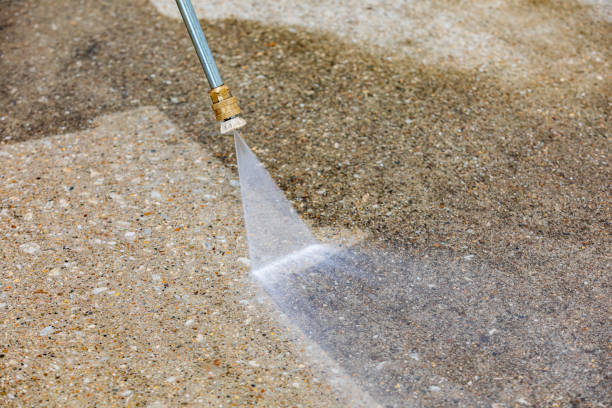 Best Soft Washing  in Leonia, NJ